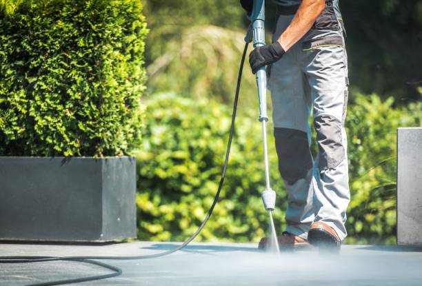 Best Fleet Vehicle Washing  in De Leon Springs, FL