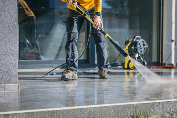 Animal Enclosure Cleaning in De Leon Springs, FL